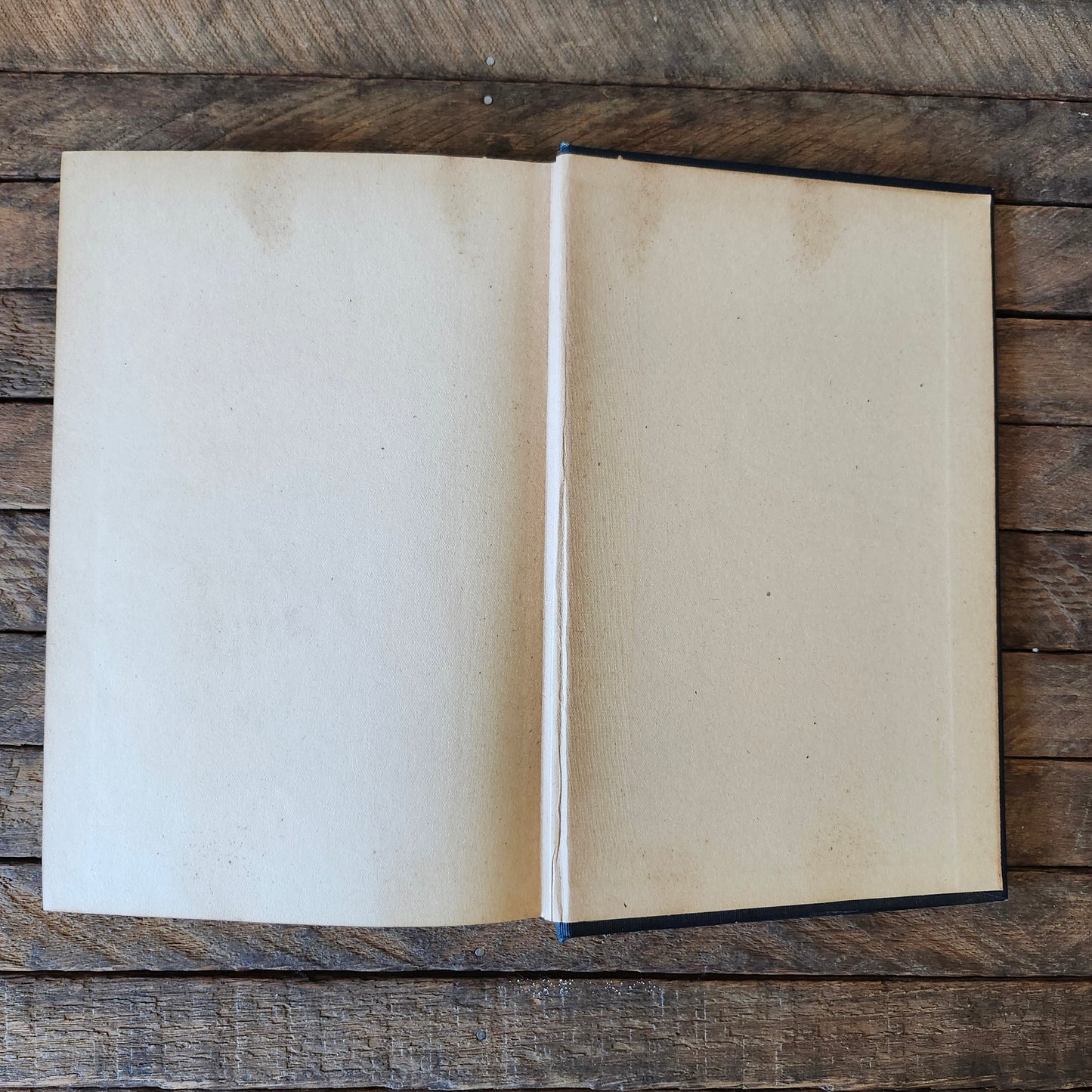 Book on The Physician Himself from Graduation to Old Age by D. W. Cathell, M.D., 1925