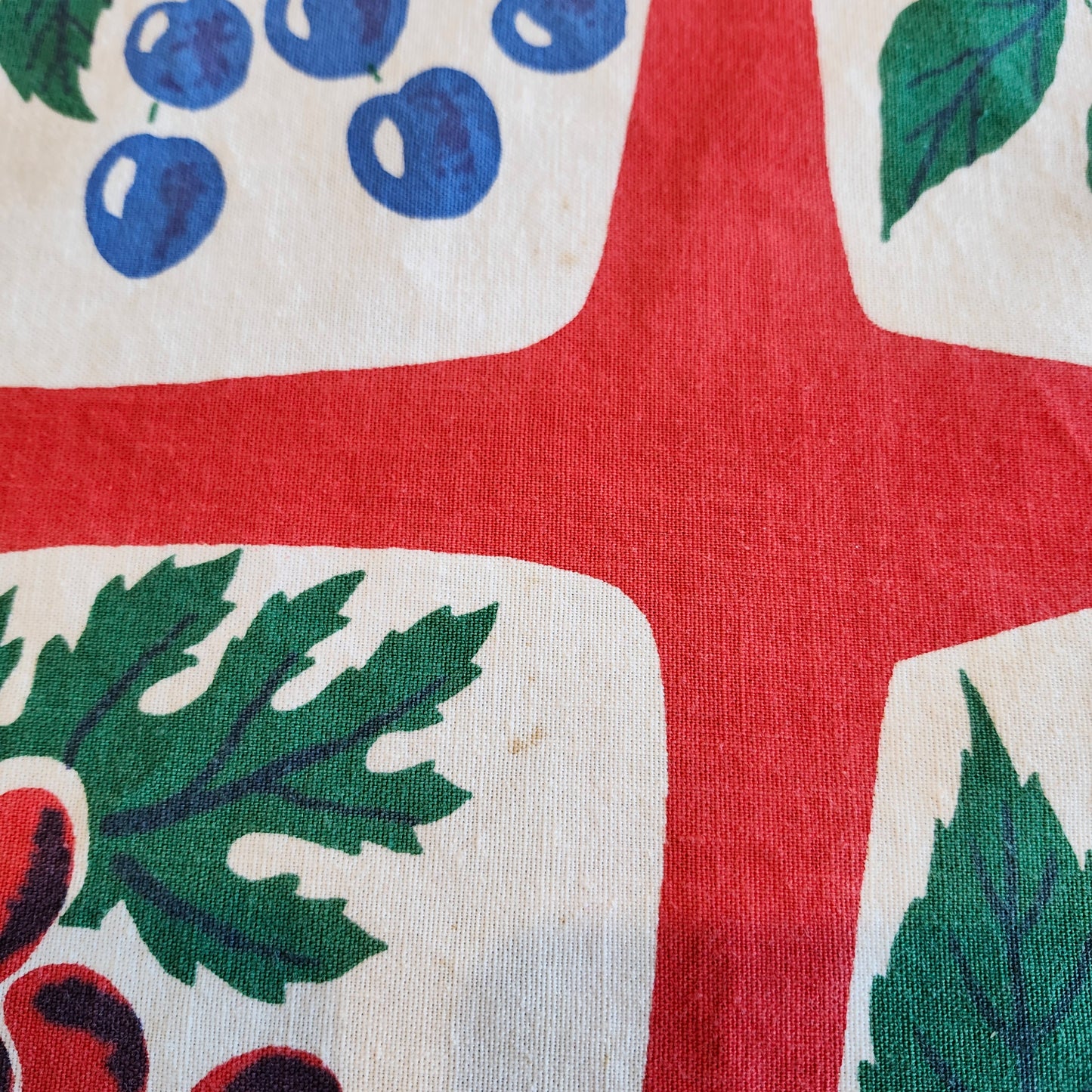 Colorful Fruits Vintage Tablecloth