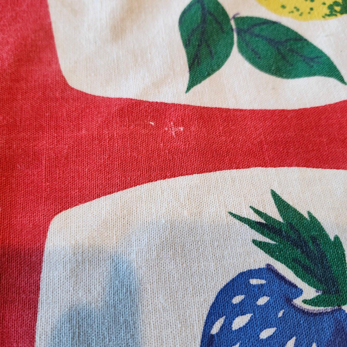 Colorful Fruits Vintage Tablecloth