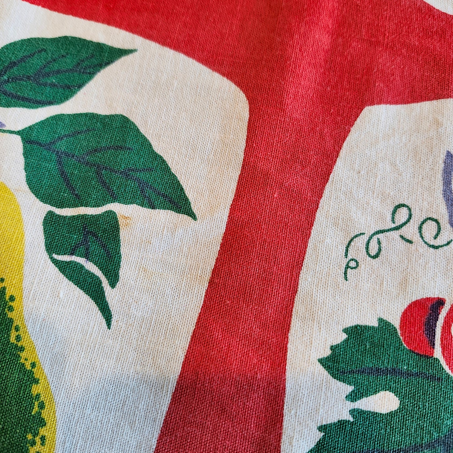 Colorful Fruits Vintage Tablecloth