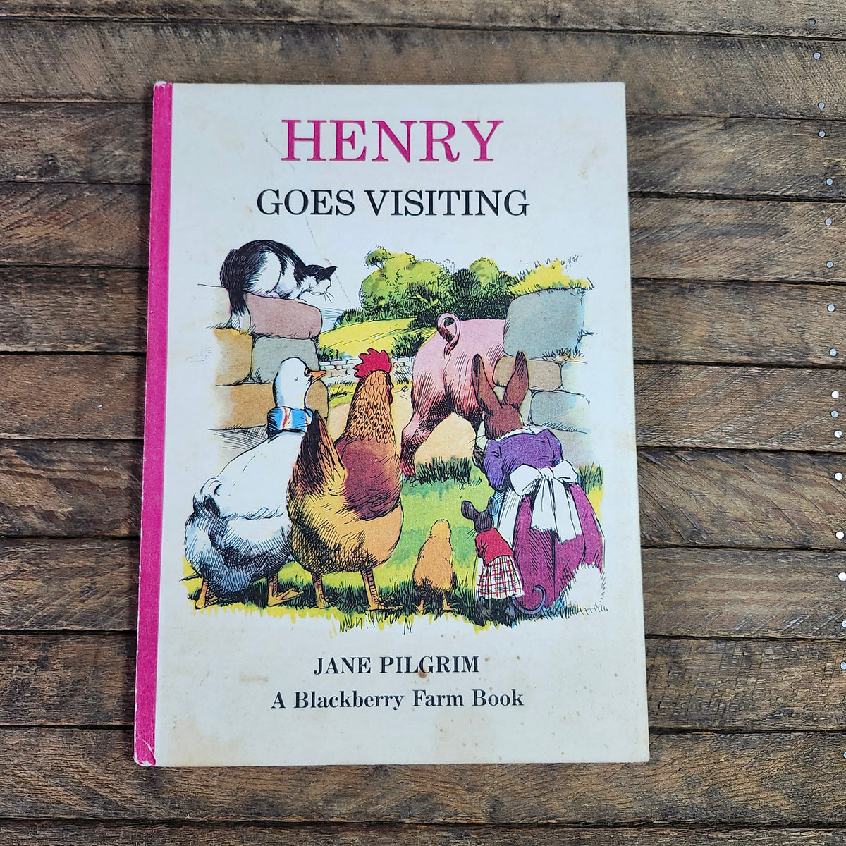 Henry Goes Visiting by Jane Pilgrim, a Blackberry Farm Book 1972