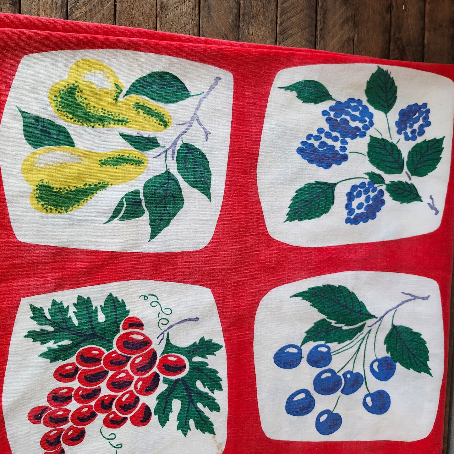 Colorful Fruits Vintage Tablecloth