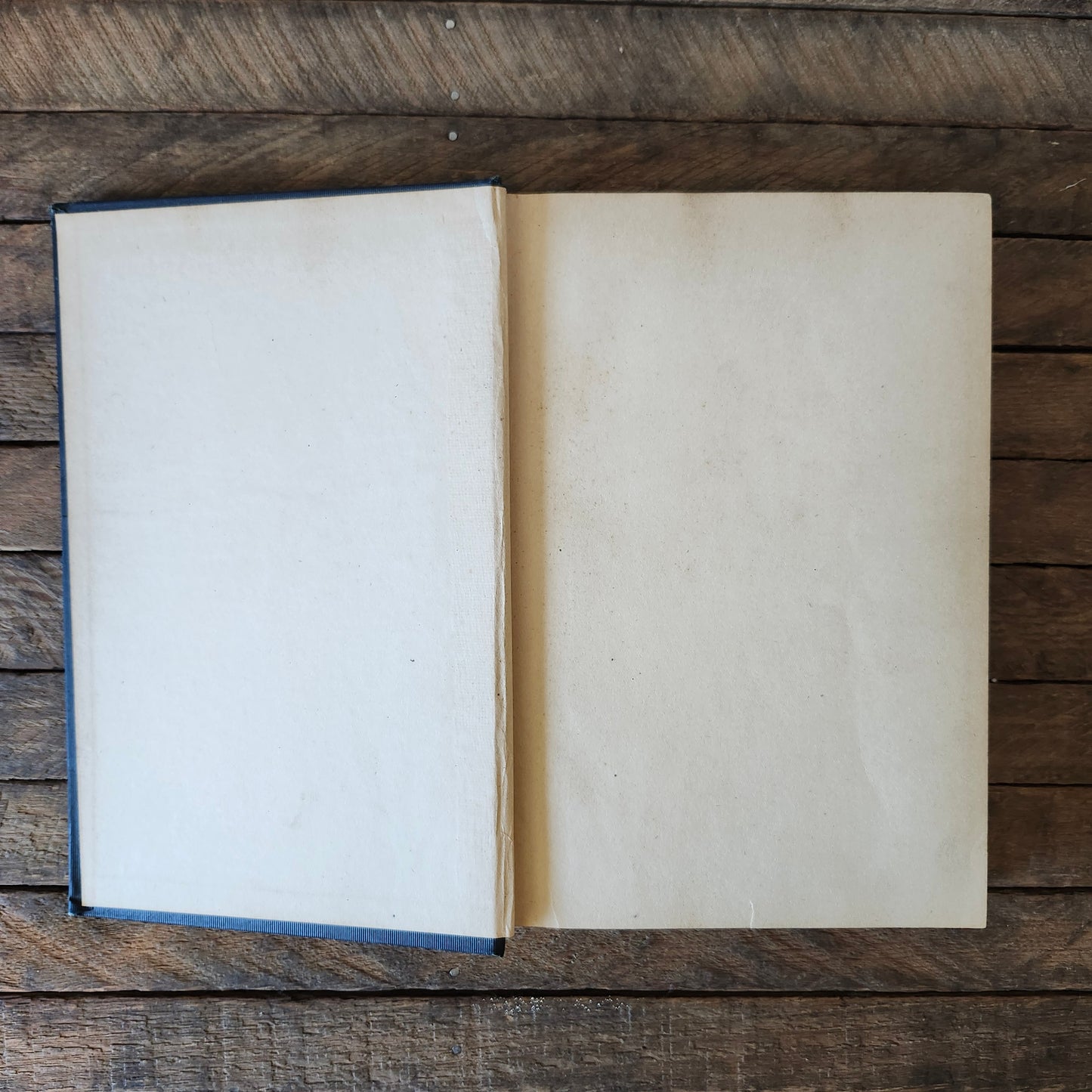 Book on The Physician Himself from Graduation to Old Age by D. W. Cathell, M.D., 1925