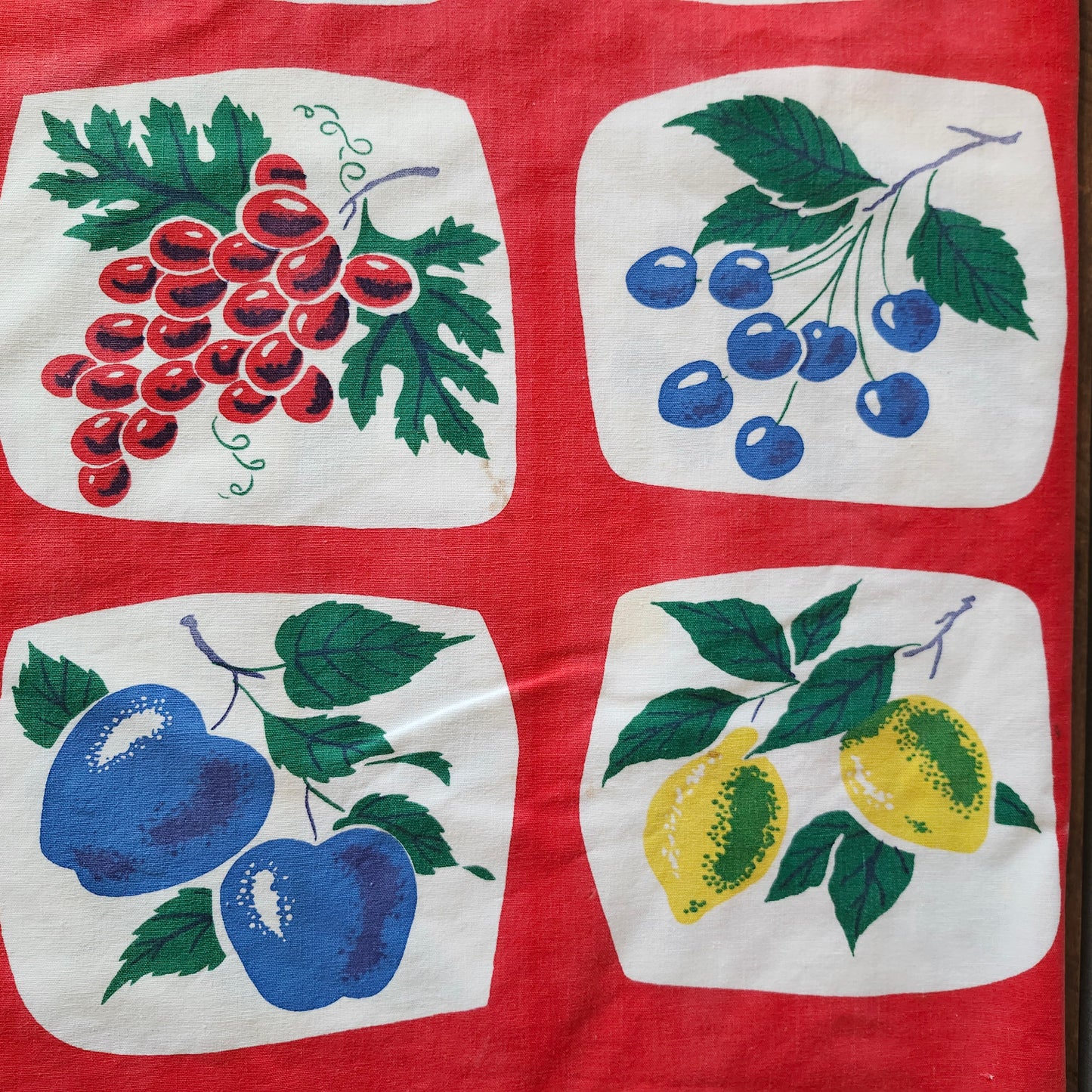 Colorful Fruits Vintage Tablecloth