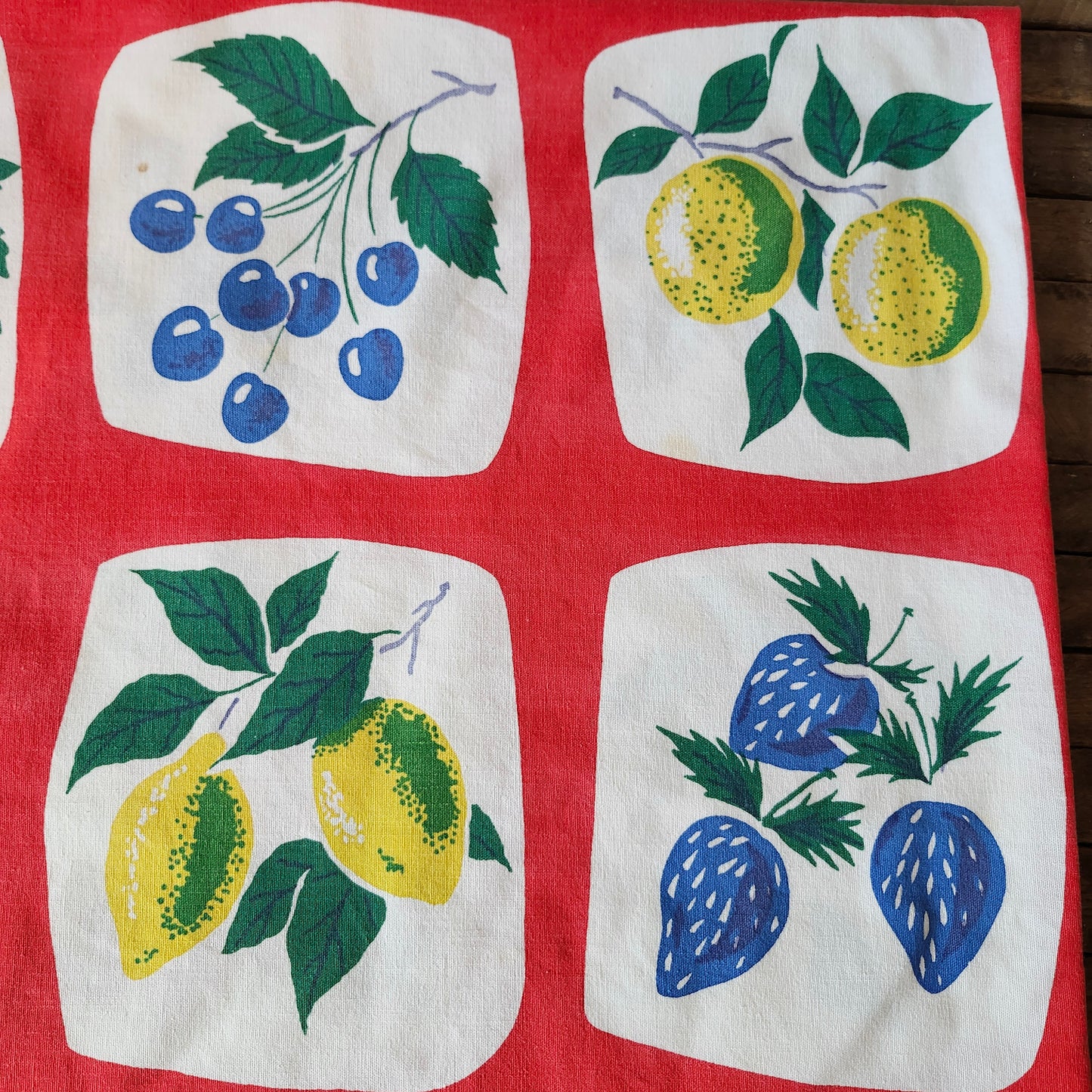 Colorful Fruits Vintage Tablecloth
