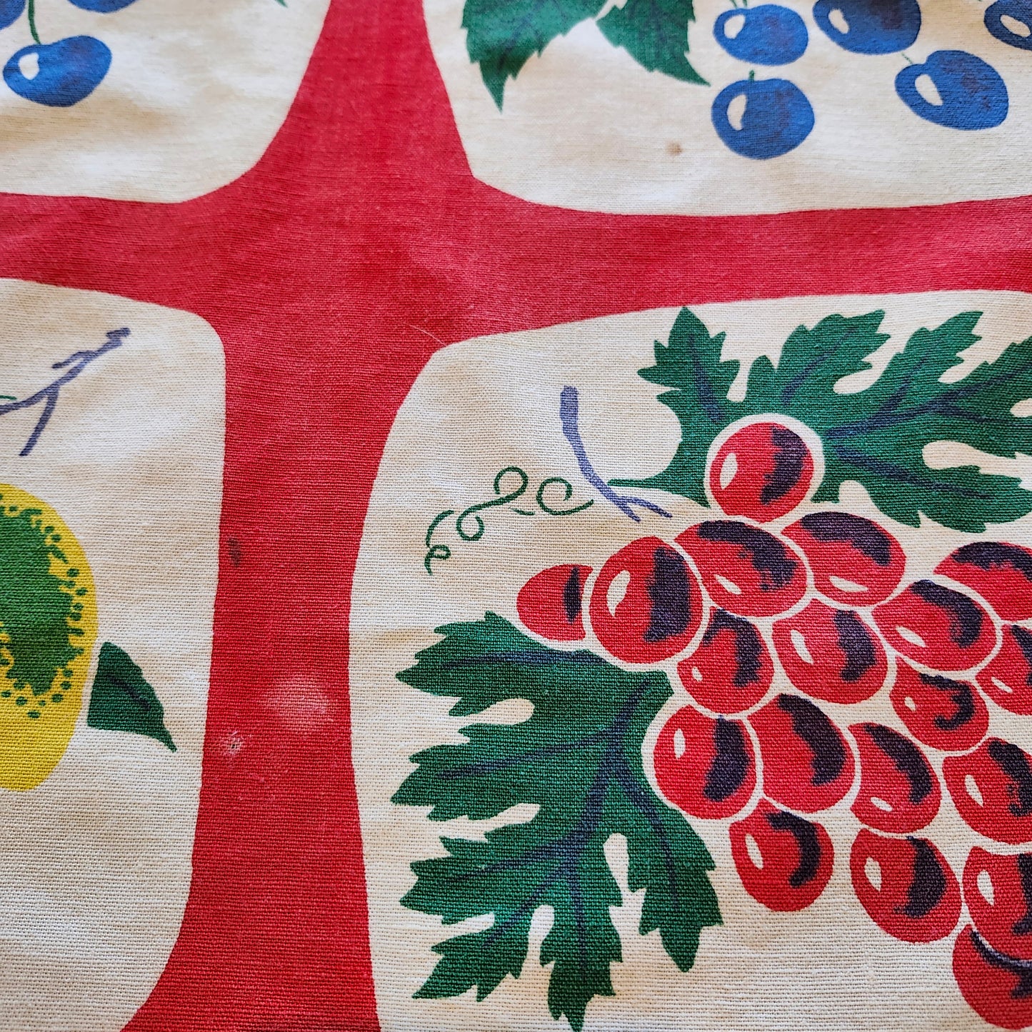 Colorful Fruits Vintage Tablecloth