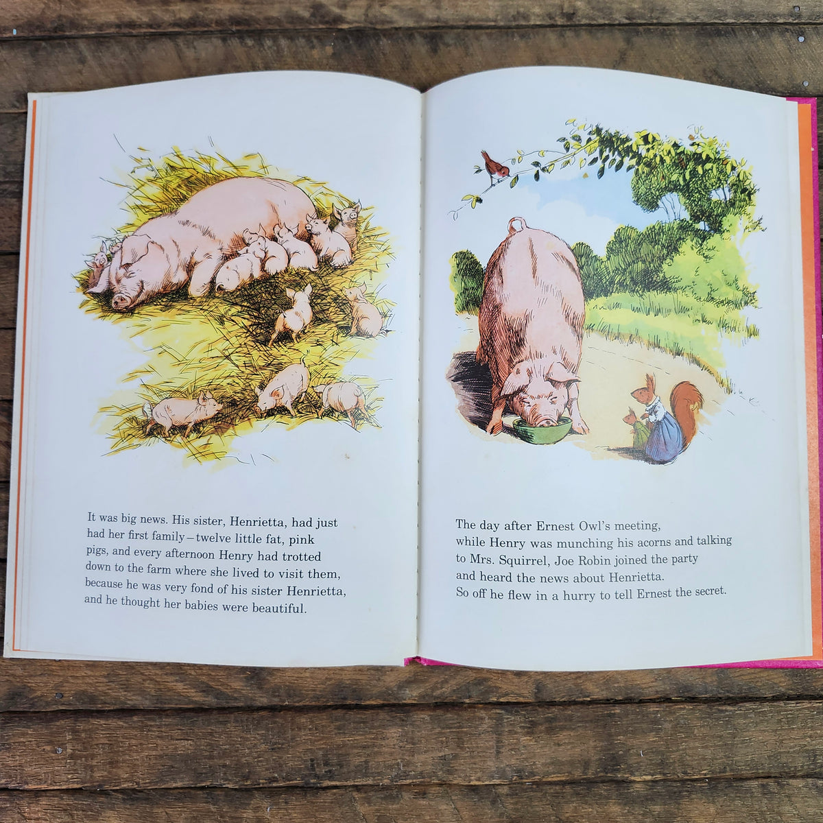 Henry Goes Visiting by Jane Pilgrim, a Blackberry Farm Book 1972